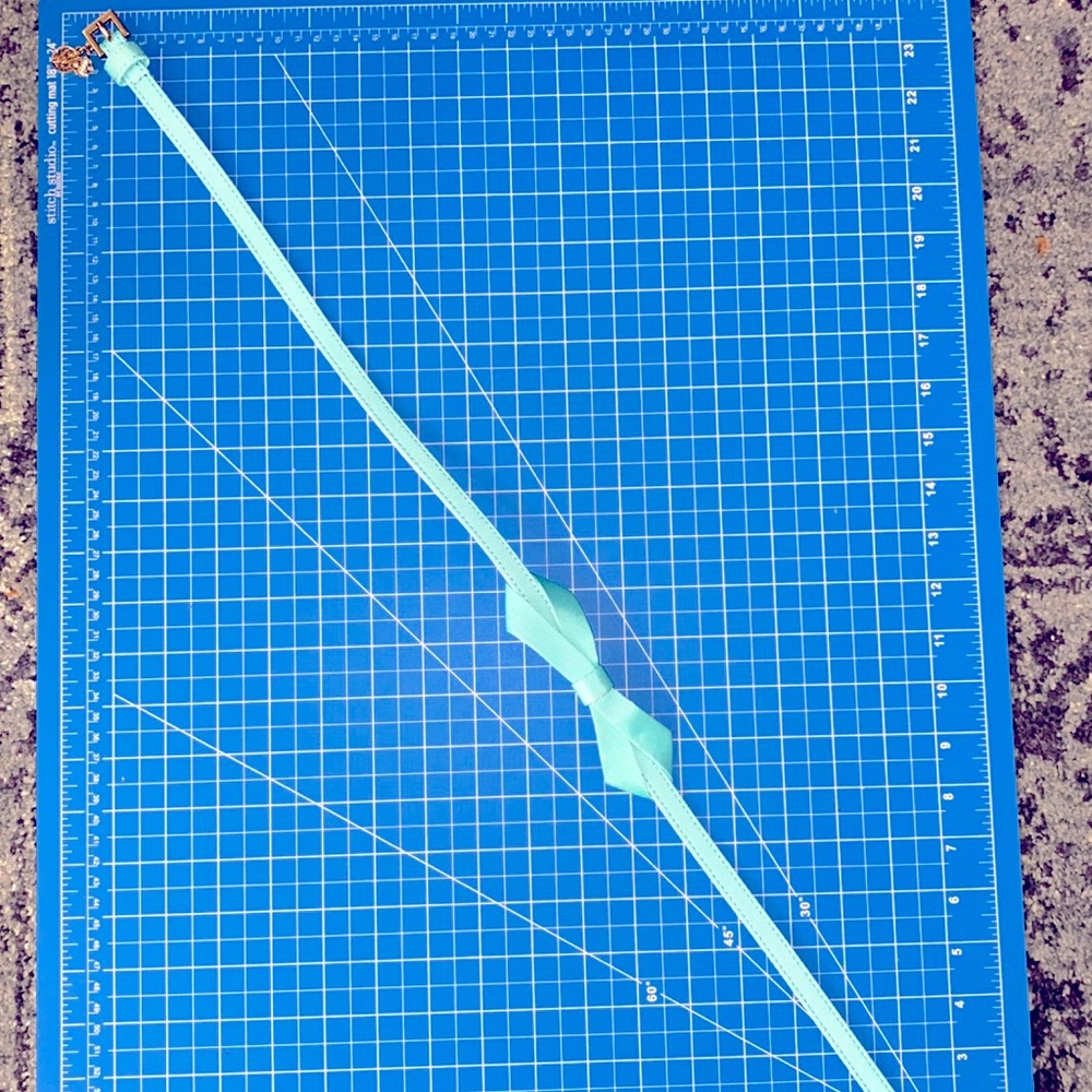 Lilly Pulitzer high waist belt